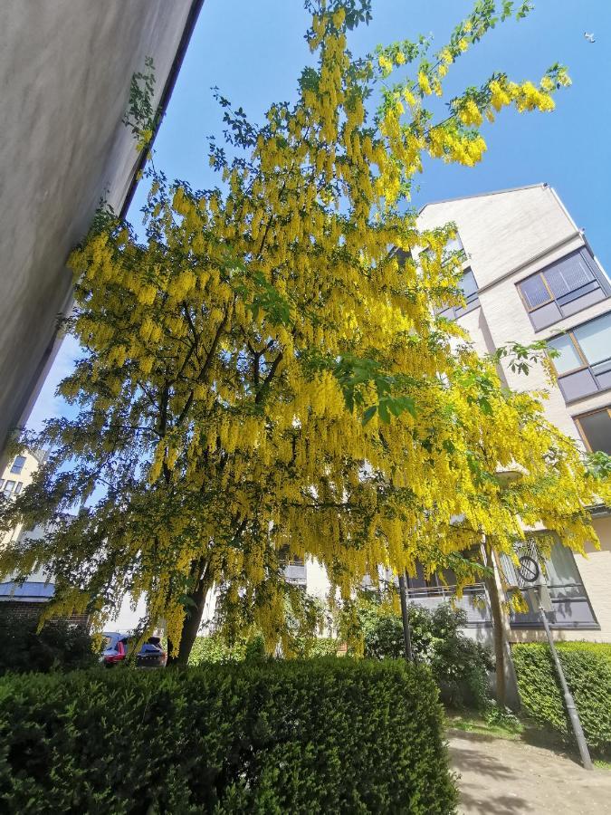 80 Square Metre Flat In The Heart Of Bergen - 2 Big Bedrooms Екстер'єр фото